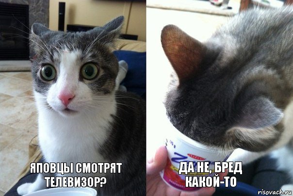 Аудитория двух крупнейших телеканалов снизилась в новогоднюю ночь