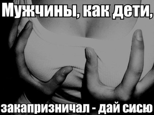 Картинки с надписями, истории и анекдоты
