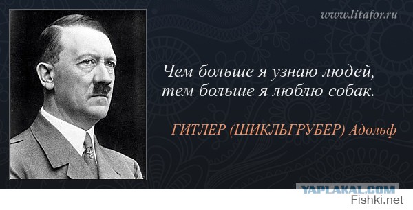 в Петербурге травившую собак догхантершу "накормили" отравленным мясом