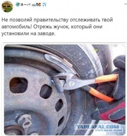 Немного картинок для настроения