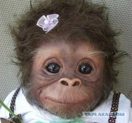 Аватары на заказ