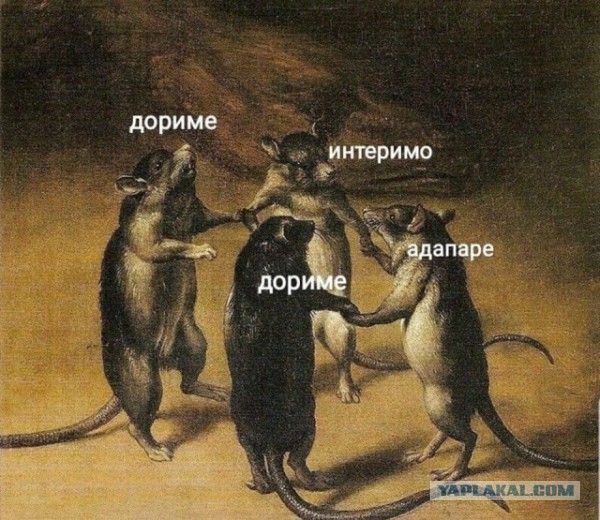 Картинки, которые я НЕ видел на портале