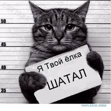 С какими женщинами не стоит связываться.