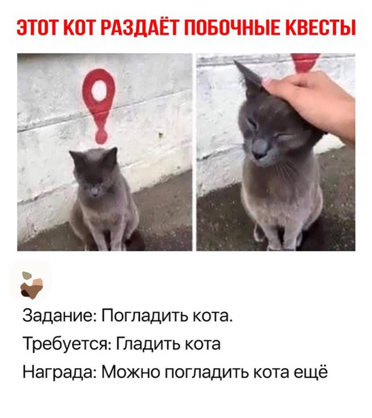 Немного картинок для настроения 25.01.20
