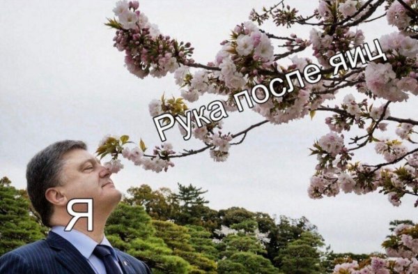 Юмор на любителя