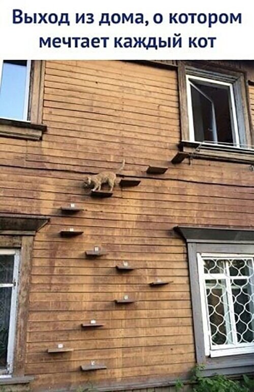 Так себе картинки 7