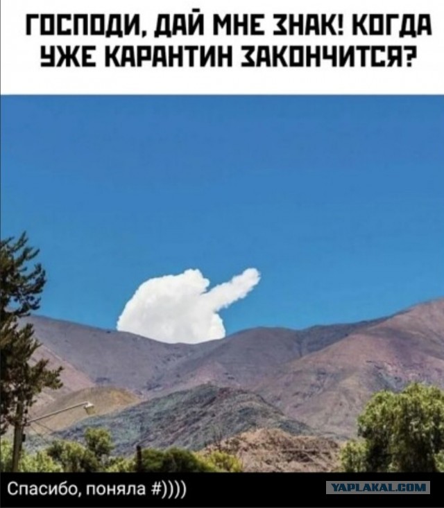 Бредзона 30.04.20