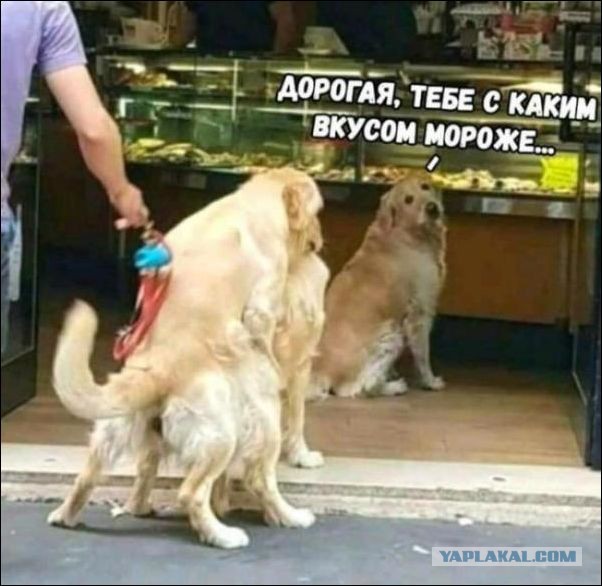 Про это