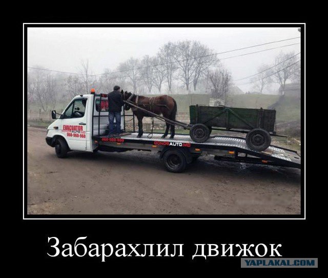 Картинки с текстом. Может даже местами 10+