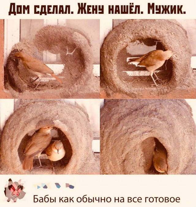Картинки и мемы для настроения 007