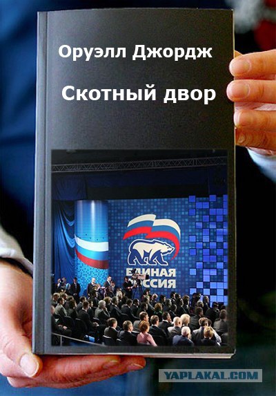 Фотожаба: Книги!
