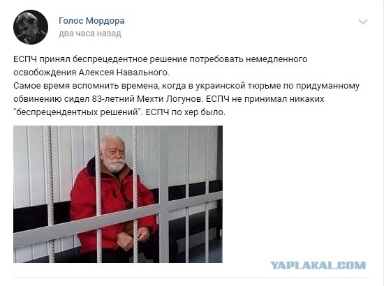 Решение ЕСПЧ: Россия должна немедленно освободить Алексея Навального