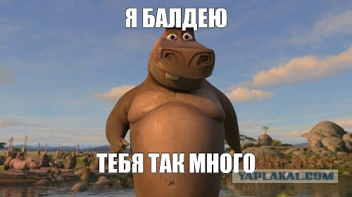 Кого только не... любят. Не для слабонервных