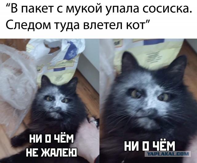 Каскад эмоций