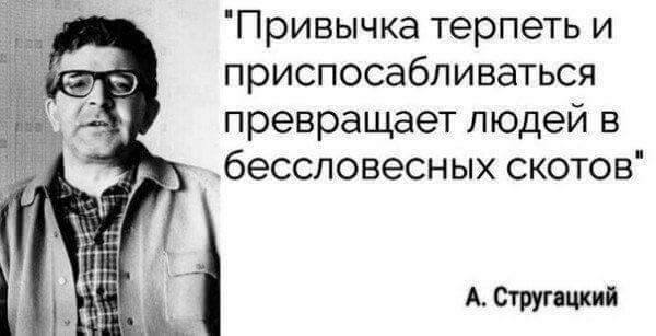 Чем нам семьи кормить?! Глава Роспотребнадзора побежала