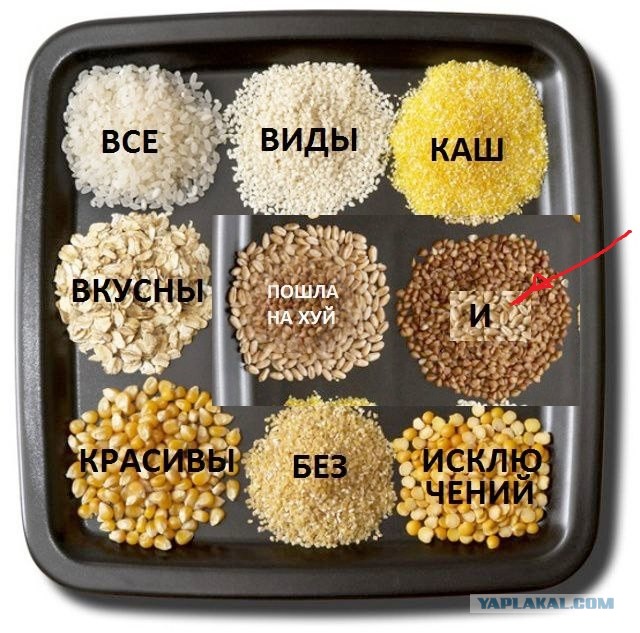 Весёлый полтишок 06.01