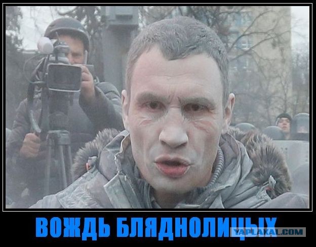 Губернатор Киевской области