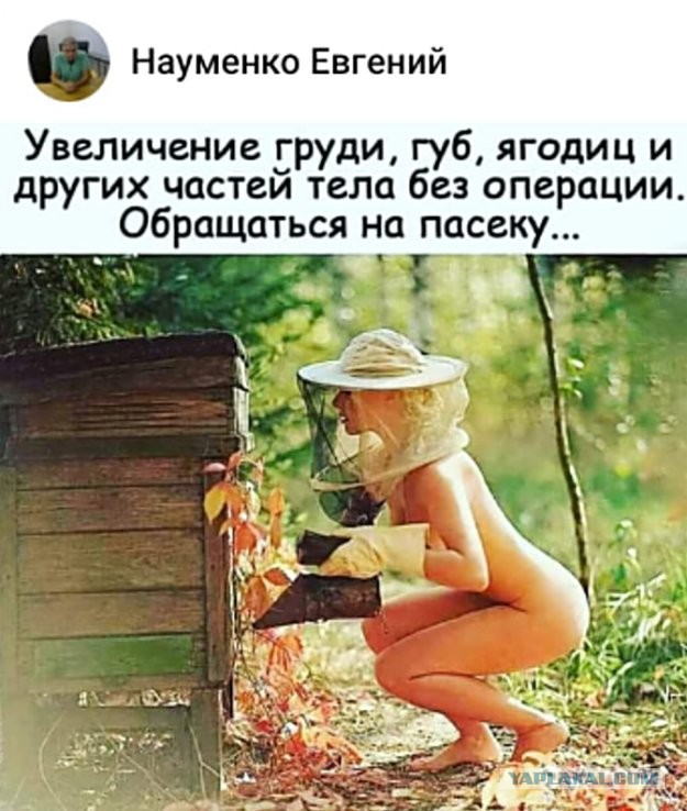 Картинки и мемы для настроения - 27