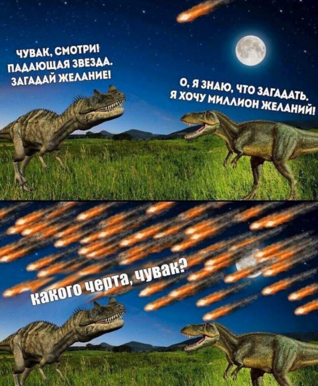 Так себе картинки 14.07.22