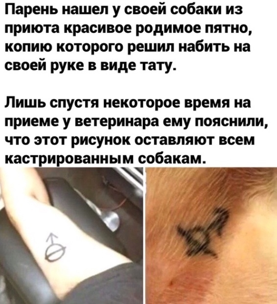 Картинки и мемы для настроения - 19