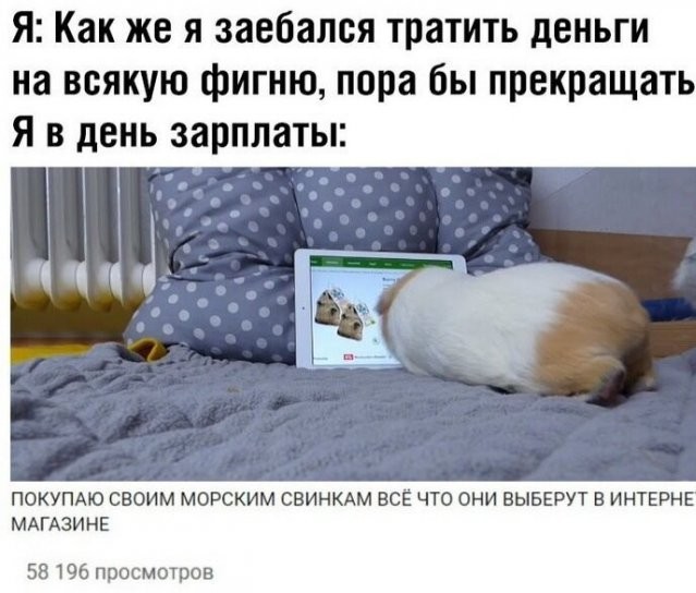 Скриншоты и комментарии из социальных сетей 26.08.22