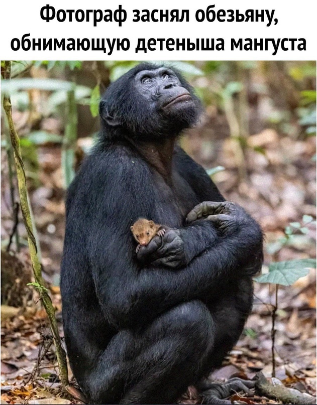 Картинки и мемы, всем хороших выходных