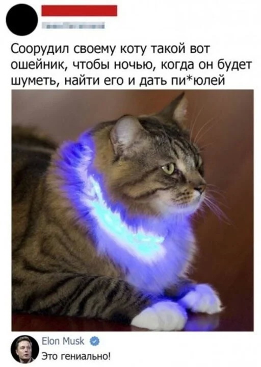 Картинки и мемы, всем хороших выходных