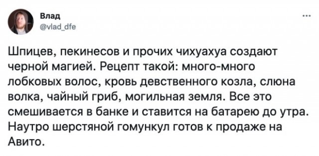 Картинки и мемы. Выходные близко...