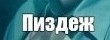 Двое мужчин получили пожизненный срок после того, как их сдал попугай