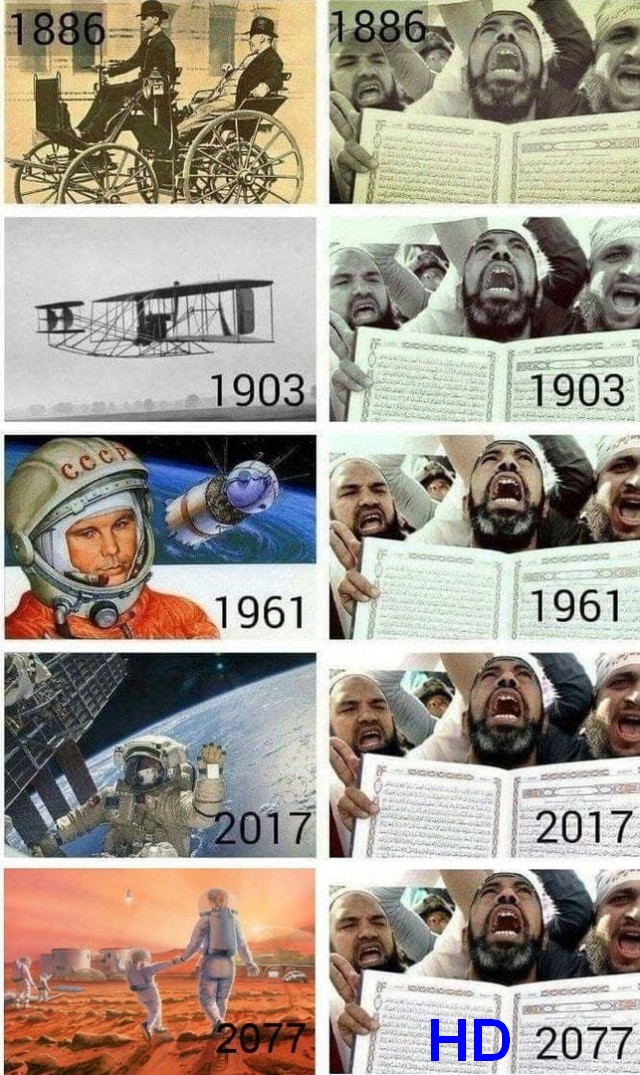 Эволюция без оскорбления⁠⁠