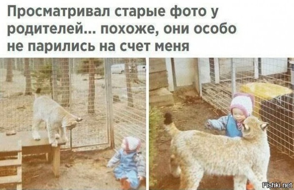 Нуштош 20.09.2023