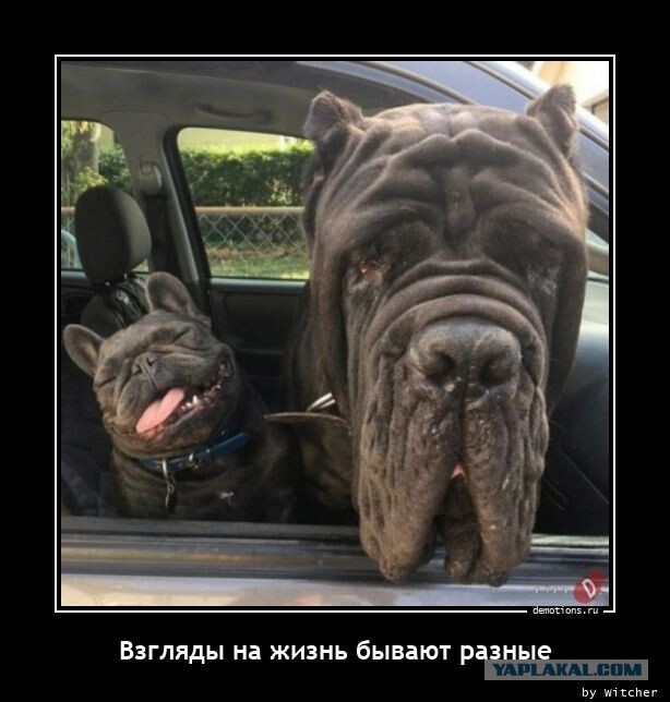 Рязань - Сасово из кабины машиниста