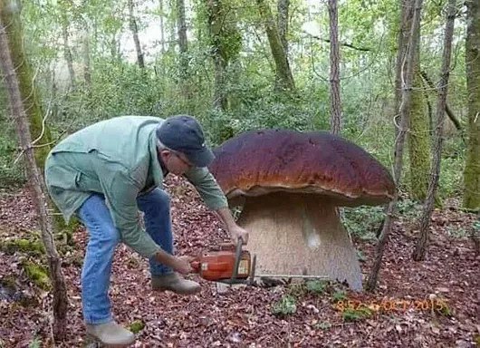 Немного юмора городским от деревенских