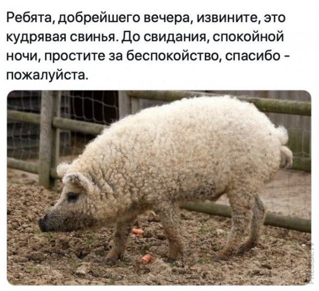Пятничное улыбательное