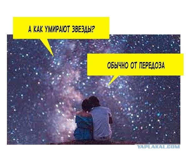 Забавные картинки ...