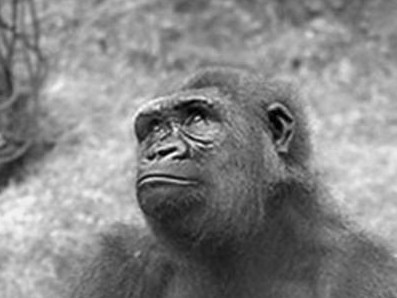 Красивые мужчины ЯПа