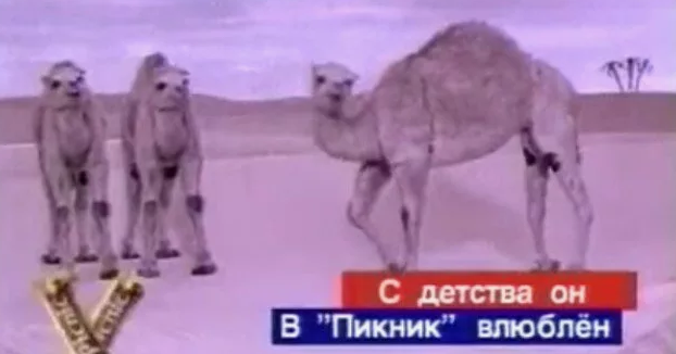 5 сладостей родом из 90-х, вкус которых уже не тот