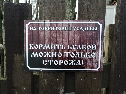 А где Цой?