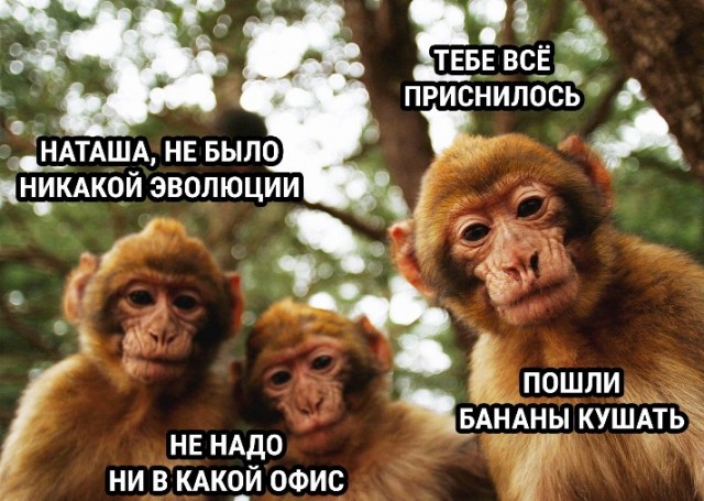 Маленькая пятница 17.09