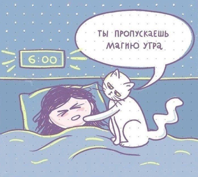 Картинки для деградации 54 (разной степени свежести)