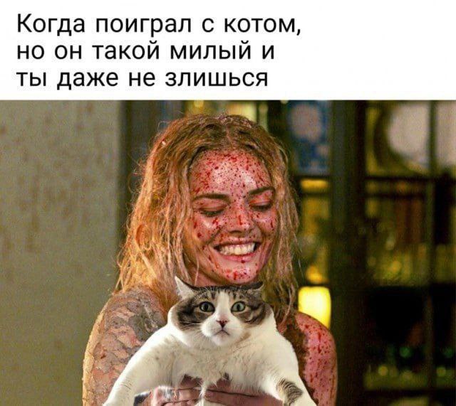 К котовторнику: подборка картинок-баянов с котиками и про котиков. Выпуск 23.