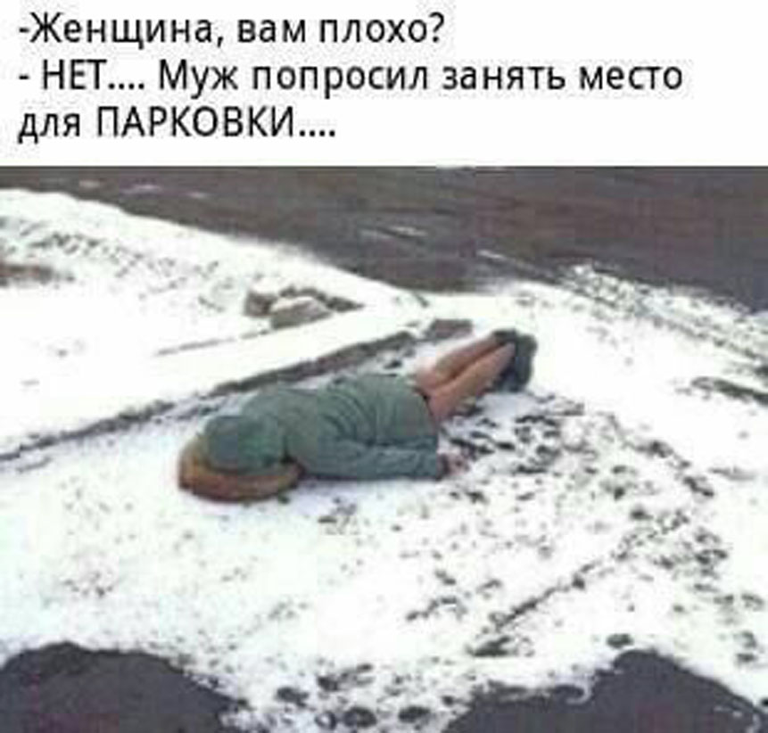 20502278.jpg