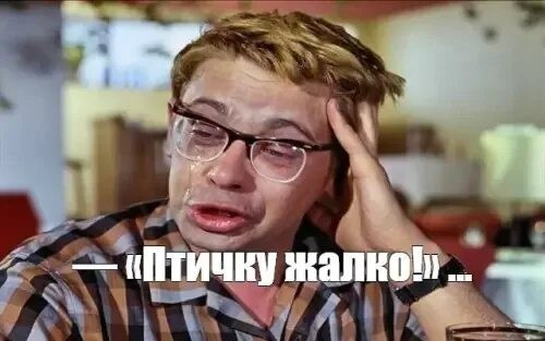 Птички купаются