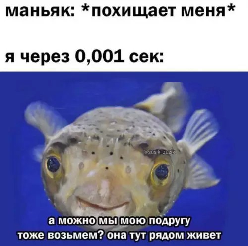 Картиночки, баянчики 10 апреля