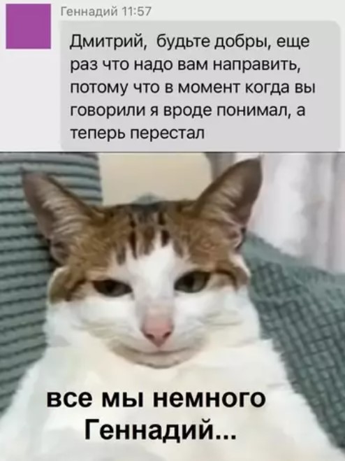К котовторнику: подборка картинок-баянов с котиками и про котиков. Выпуск 37.