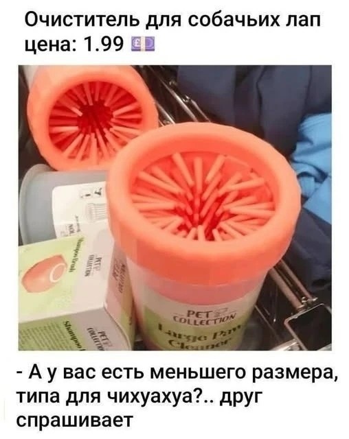 Веселые картинки в пятницу (08.05)
