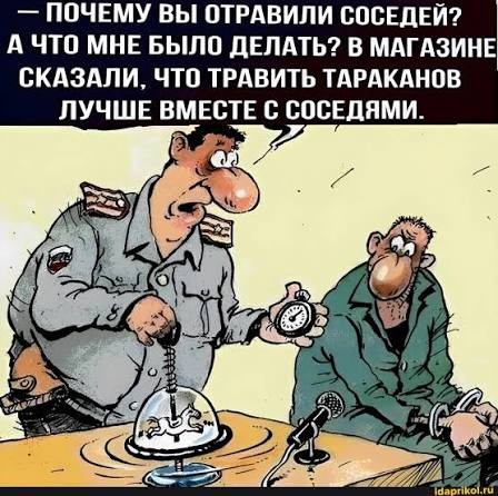 Появился таракан