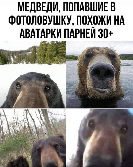 Картинки для деградации 265 (разной степени свежести)