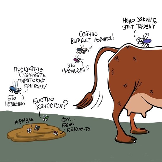 Об пиратстве