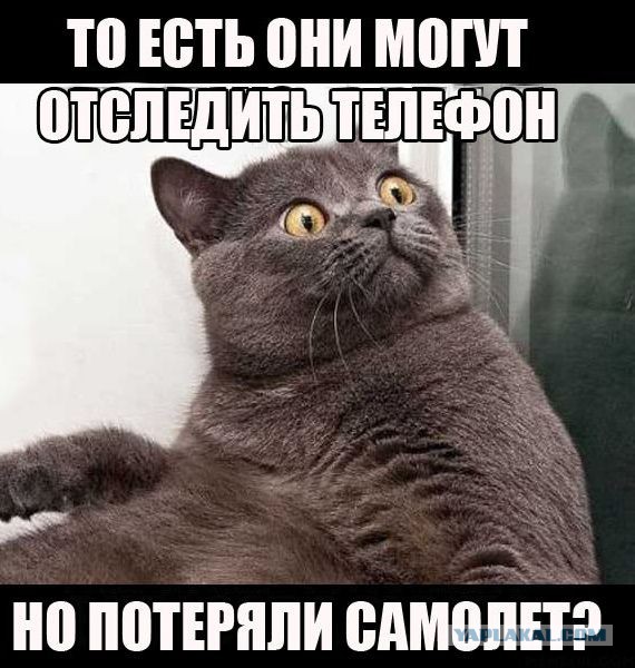 Смешные комментарии из социальных сетей (апрель)